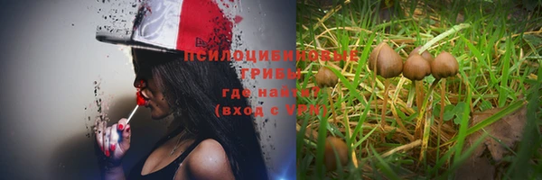 винт Балабаново