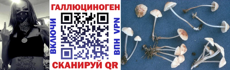 Галлюциногенные грибы Magic Shrooms сколько стоит площадка Telegram Ленск